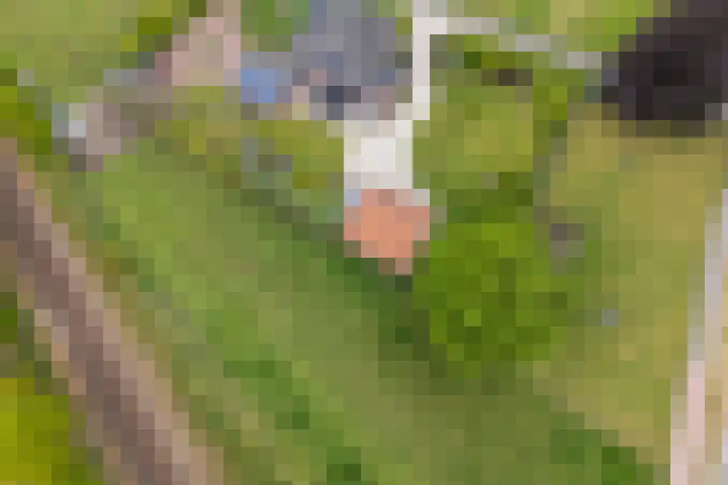 Tankweg 3 Lievelde thumbnail 54