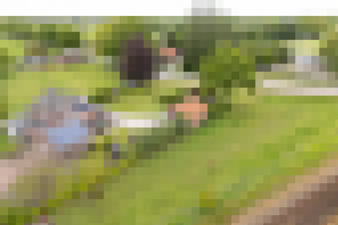 Tankweg 3 Lievelde thumbnail 55