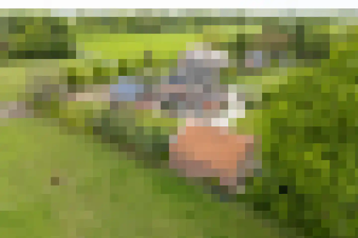 Tankweg 3 Lievelde thumbnail 57
