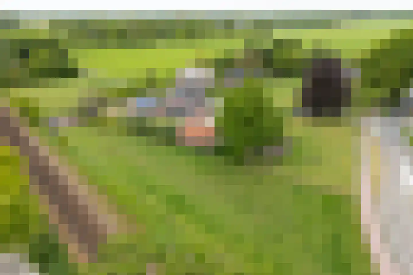 Tankweg 3 Lievelde thumbnail 58
