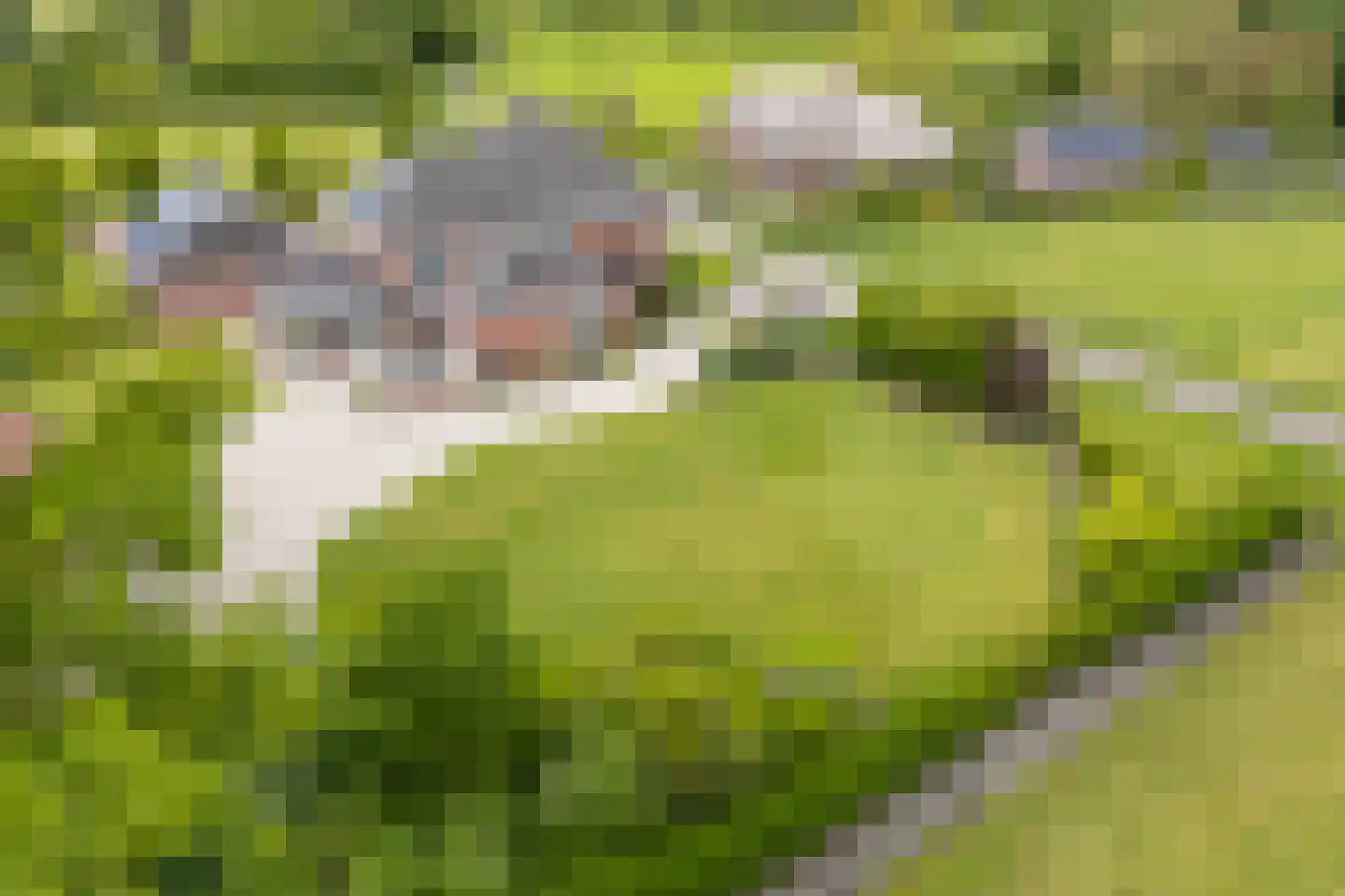 Tankweg 3 Lievelde thumbnail 59