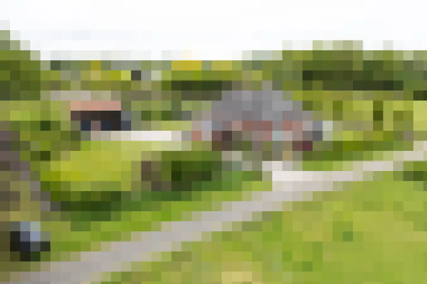 Tankweg 3 Lievelde thumbnail 60