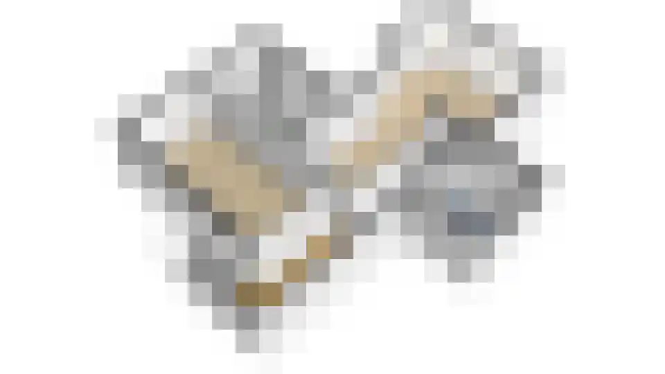 Tankweg 3 Lievelde thumbnail 65