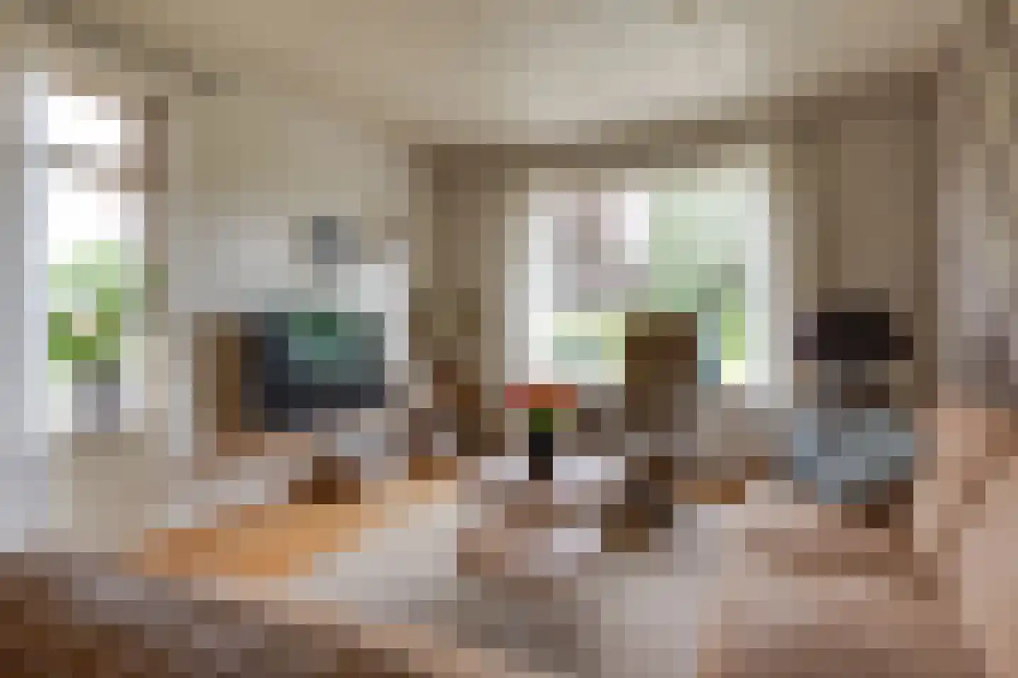 Tankweg 3 Lievelde thumbnail 7