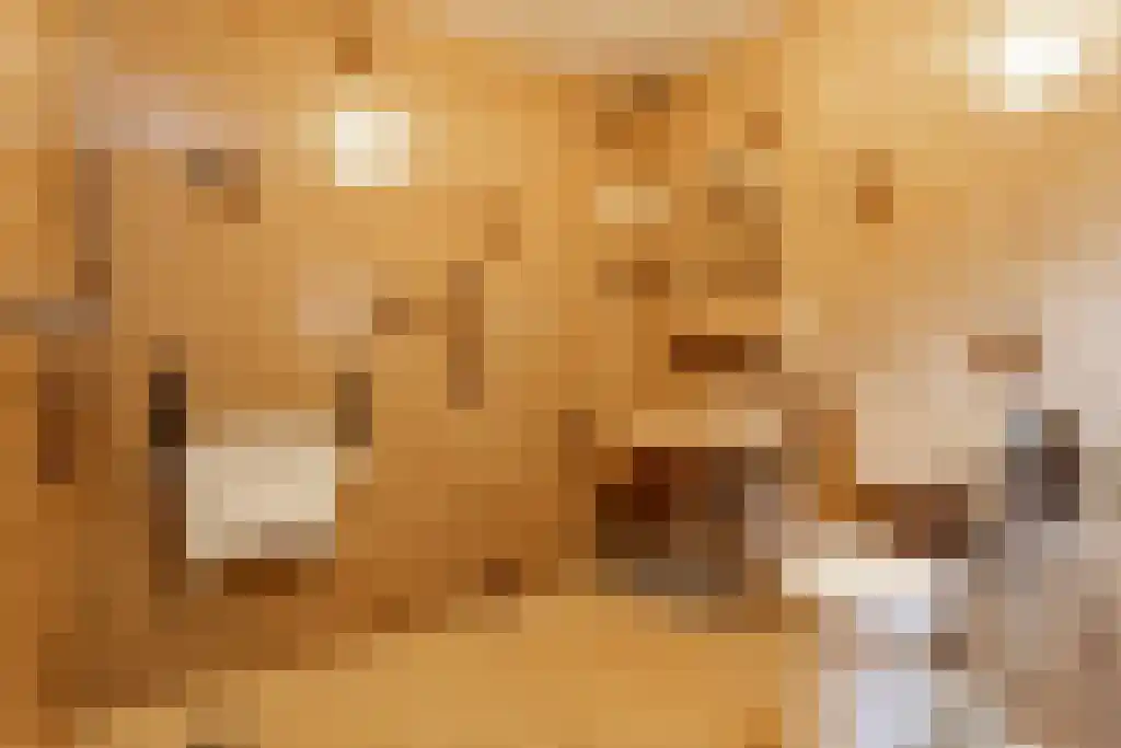 Tankweg 5 Lievelde thumbnail 19