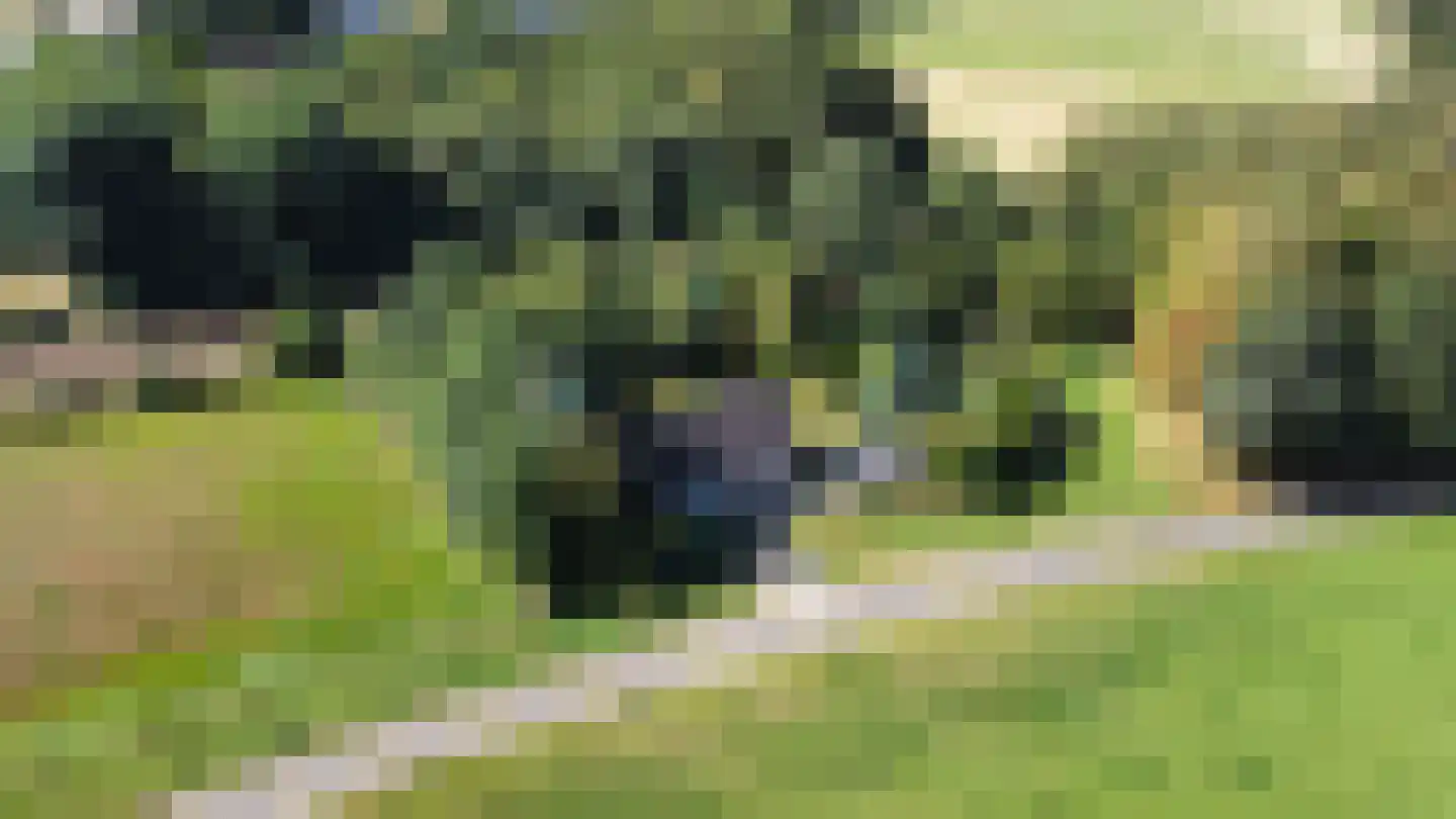 Tankweg 5 Lievelde thumbnail 24