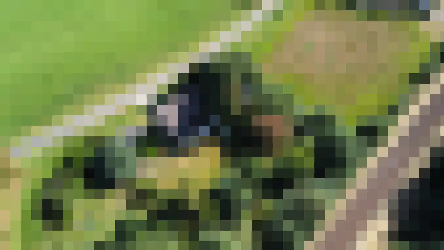 Tankweg 5 Lievelde thumbnail 25