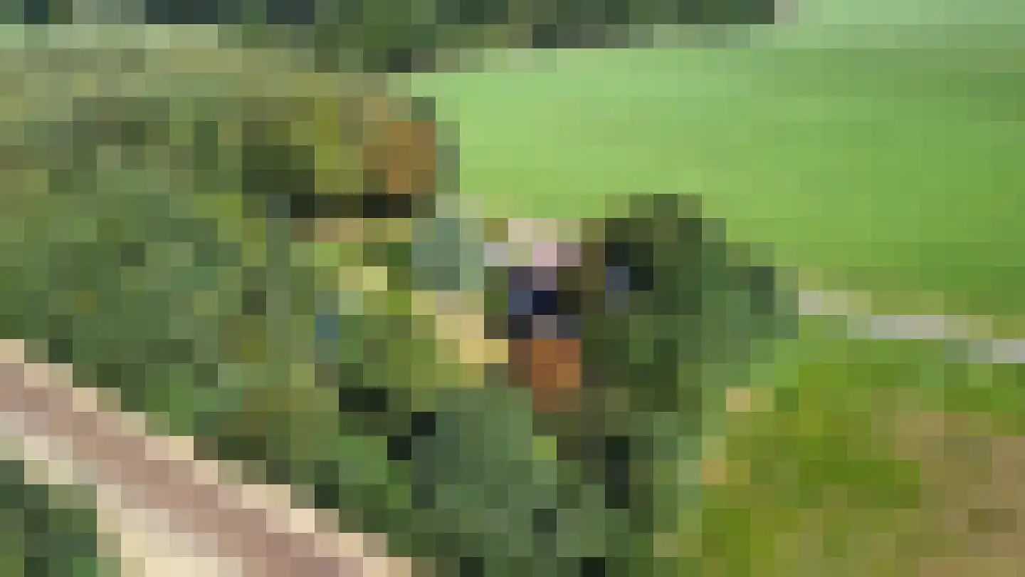 Tankweg 5 Lievelde thumbnail 26
