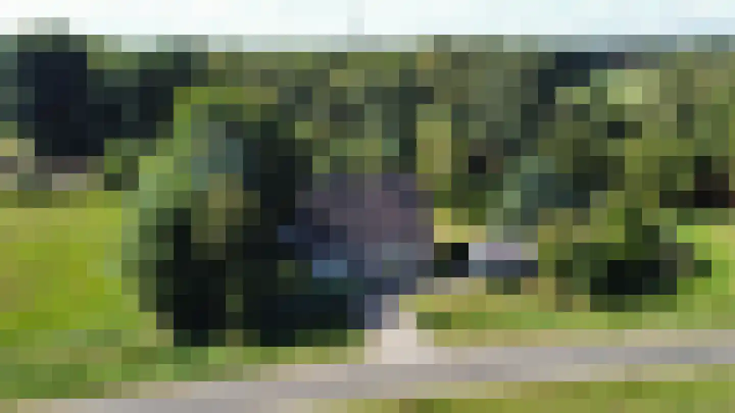 Tankweg 5 Lievelde thumbnail 28
