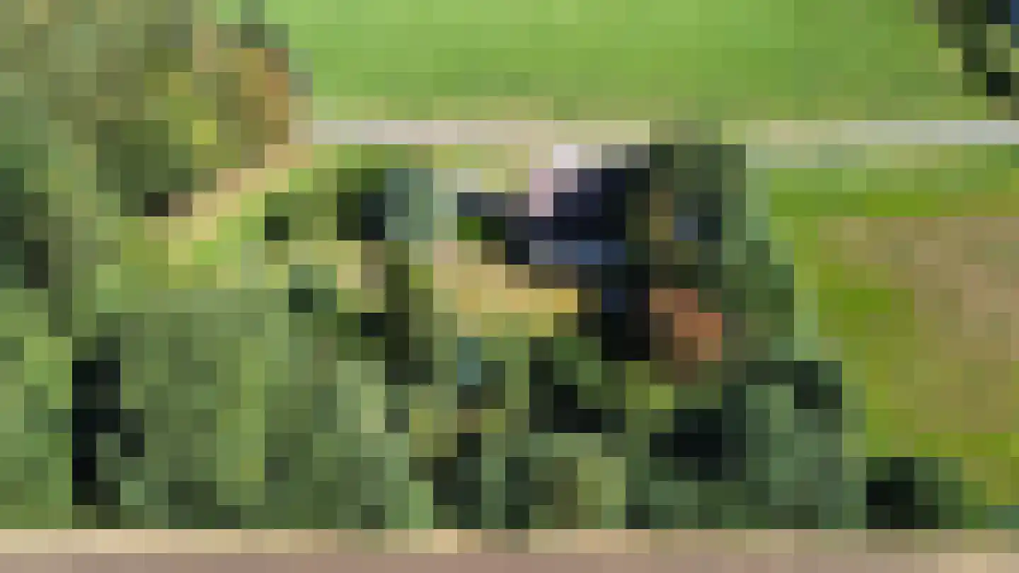 Tankweg 5 Lievelde thumbnail 4