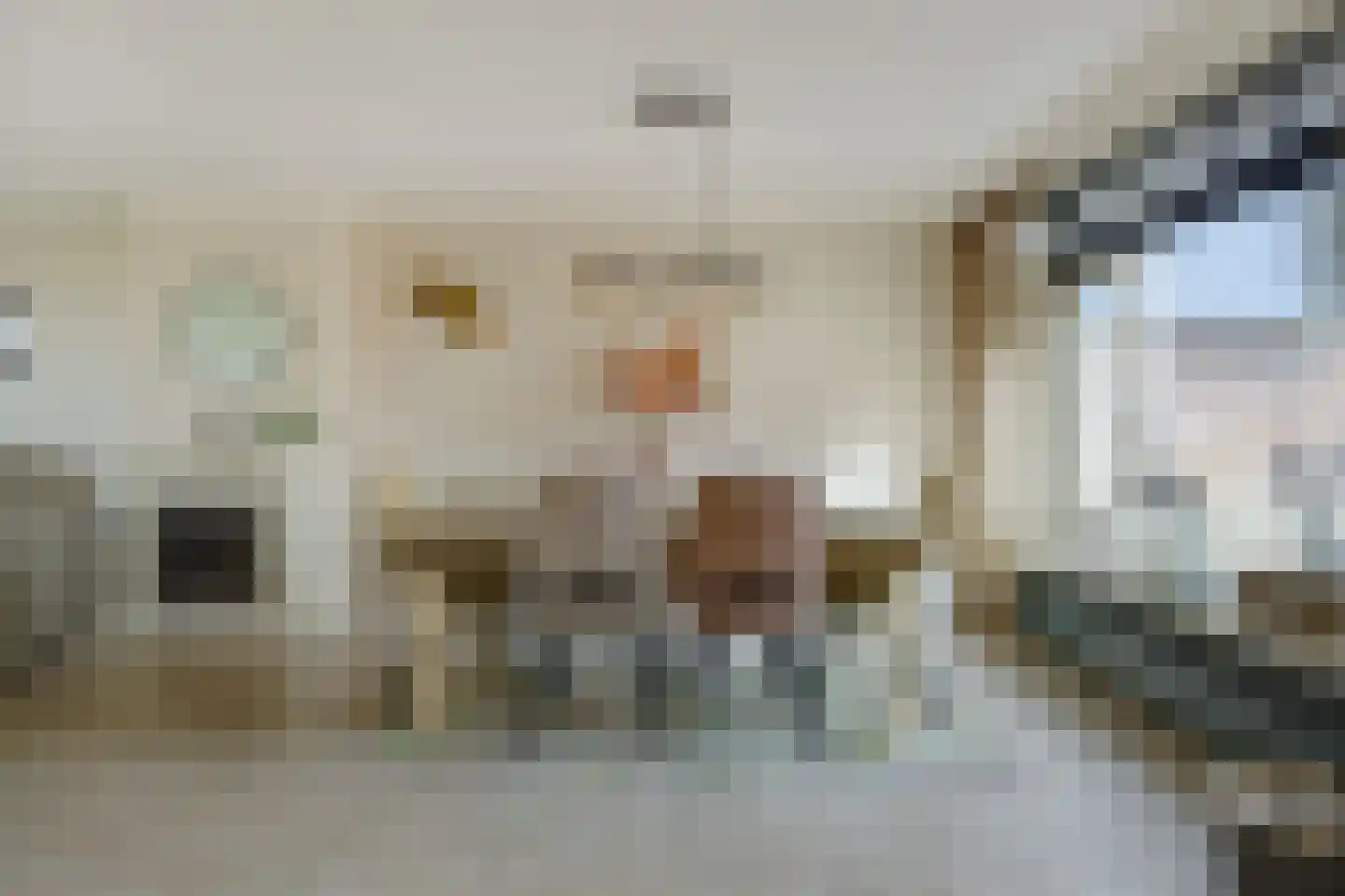 Tanneskampke 5 's-Hertogenbosch thumbnail 8