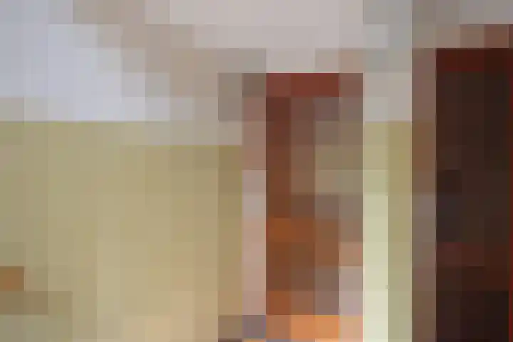 Tannhäuserstraat 55 Den Haag thumbnail 7