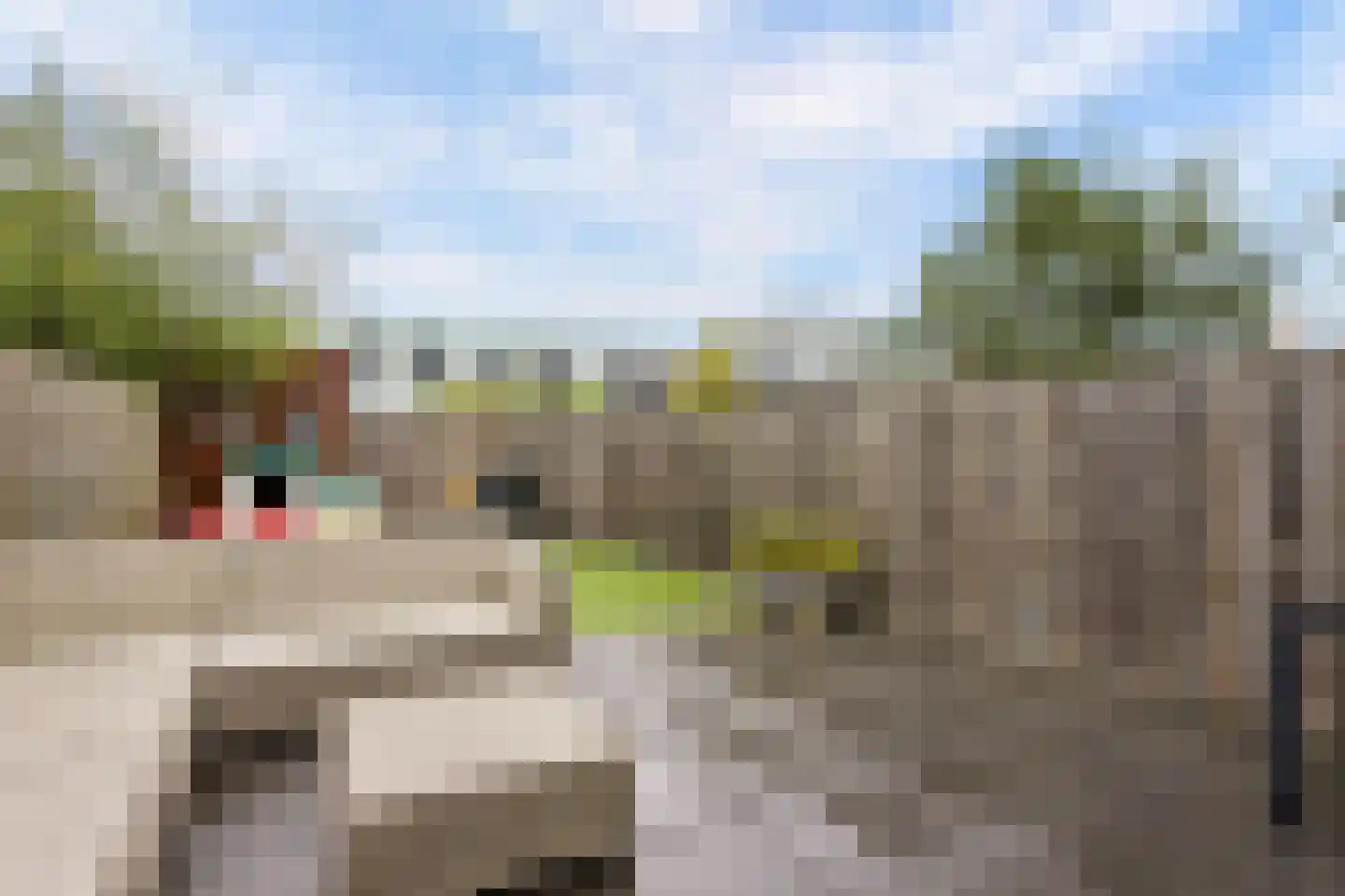 Tante Pollewopstraat 32 Almere thumbnail 34