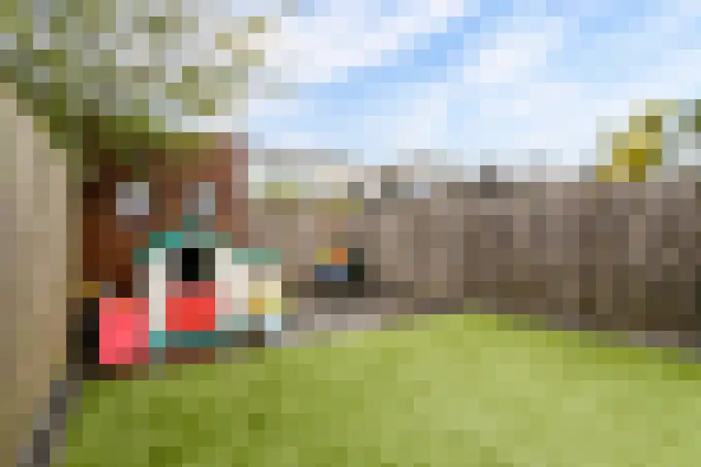 Tante Pollewopstraat 32 Almere thumbnail 38