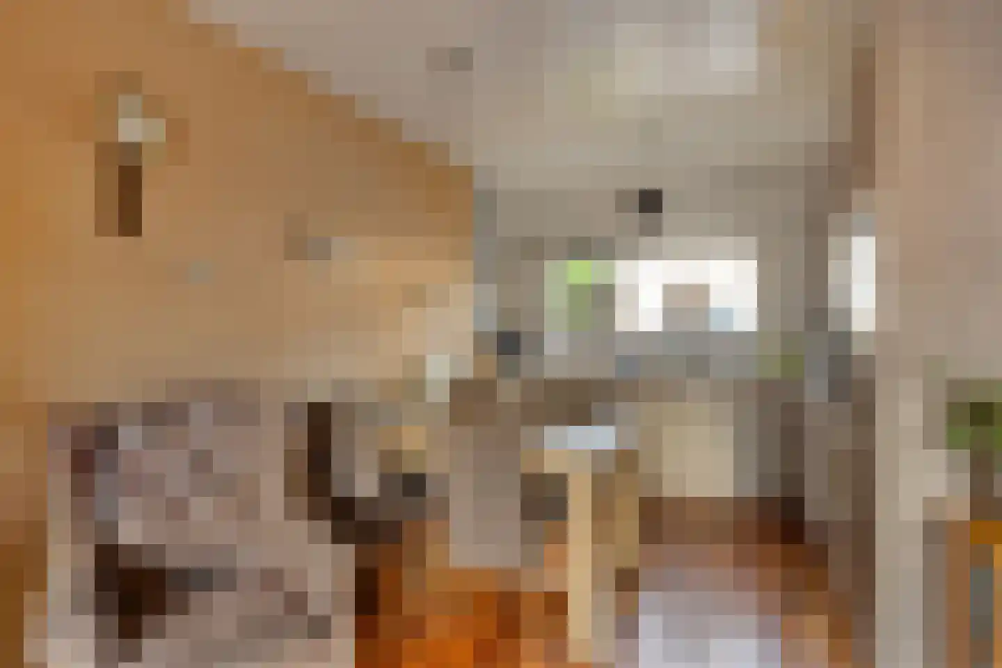 Tante Pollewopstraat 4 Almere thumbnail 7