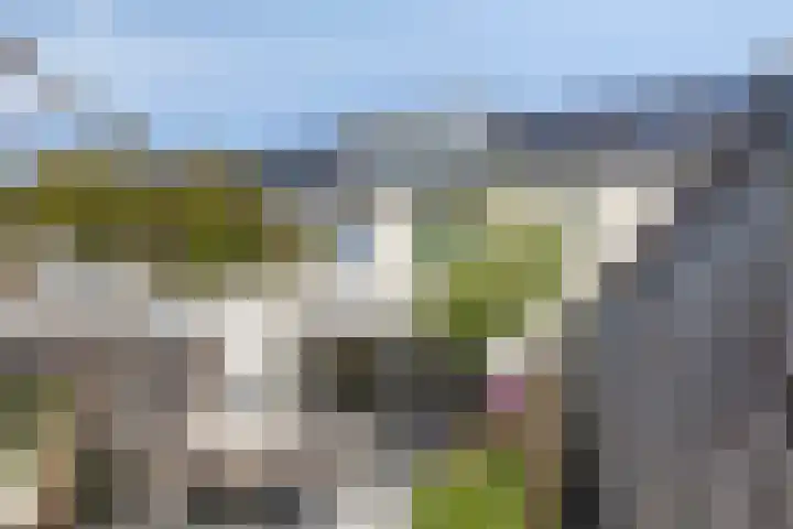 Tanzaniet 13 Zevenbergen thumbnail 29