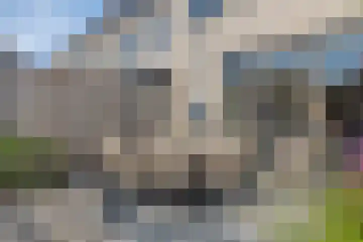 Tanzaniet 13 Zevenbergen thumbnail 30