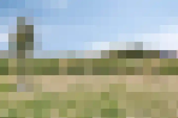 Tanzaniet 13 Zevenbergen thumbnail 32
