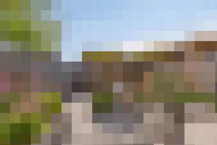 Tanzaniet 13 Zevenbergen thumbnail 4