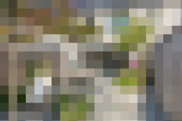 Tanzaniet 13 Zevenbergen thumbnail 5