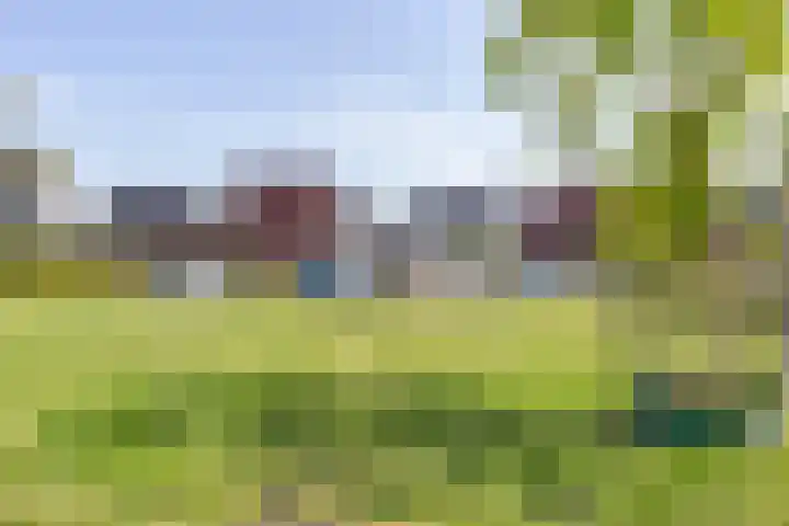 Tanzaniet 13 Zevenbergen thumbnail 6