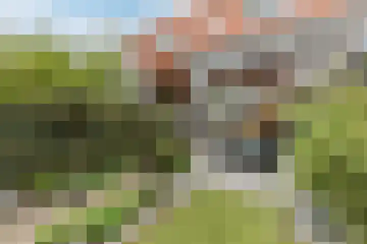 Tapeind 23 Best thumbnail 6
