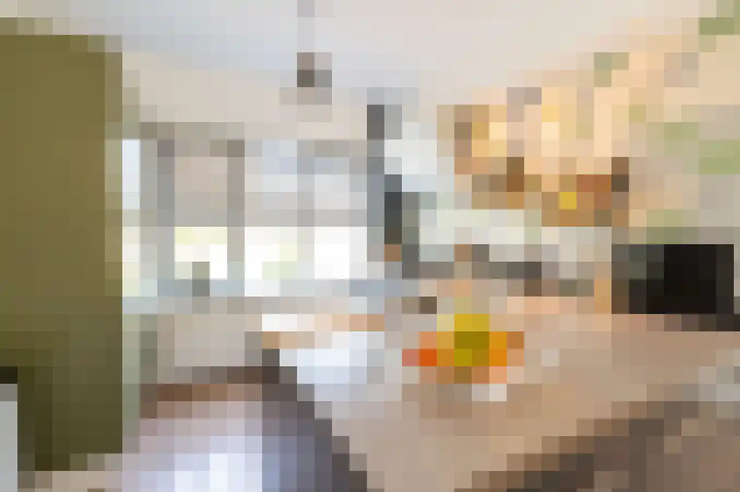 Tapijtschelp 15 Hellevoetsluis thumbnail 17