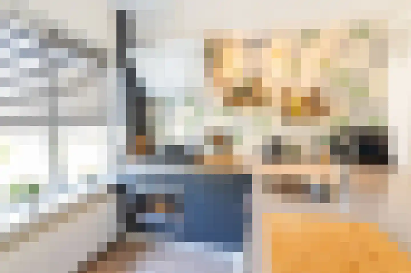 Tapijtschelp 15 Hellevoetsluis thumbnail 19
