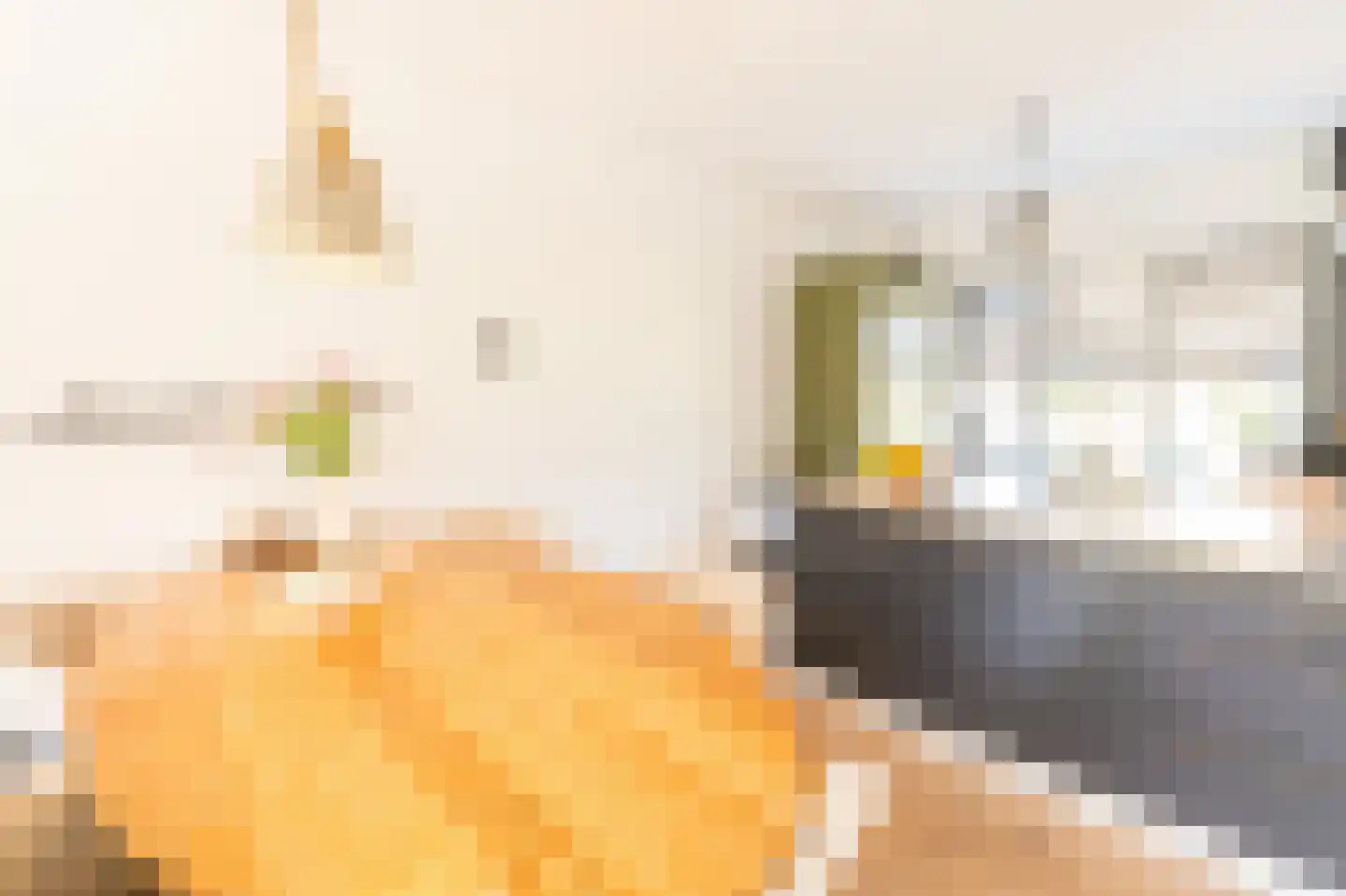 Tapijtschelp 15 Hellevoetsluis thumbnail 23