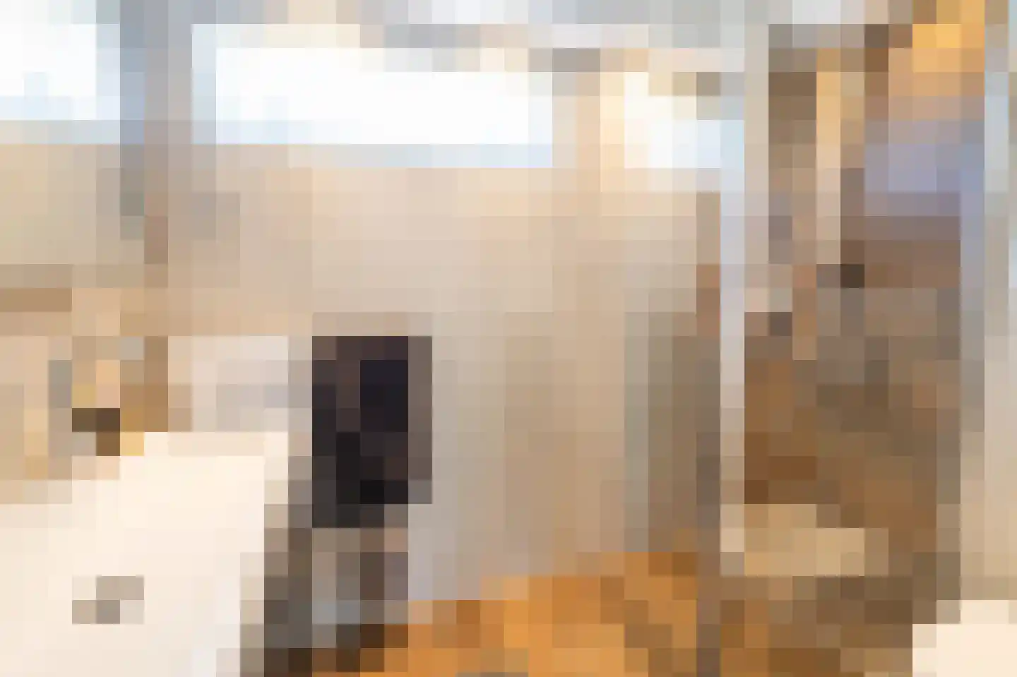 Tapijtschelp 15 Hellevoetsluis thumbnail 34