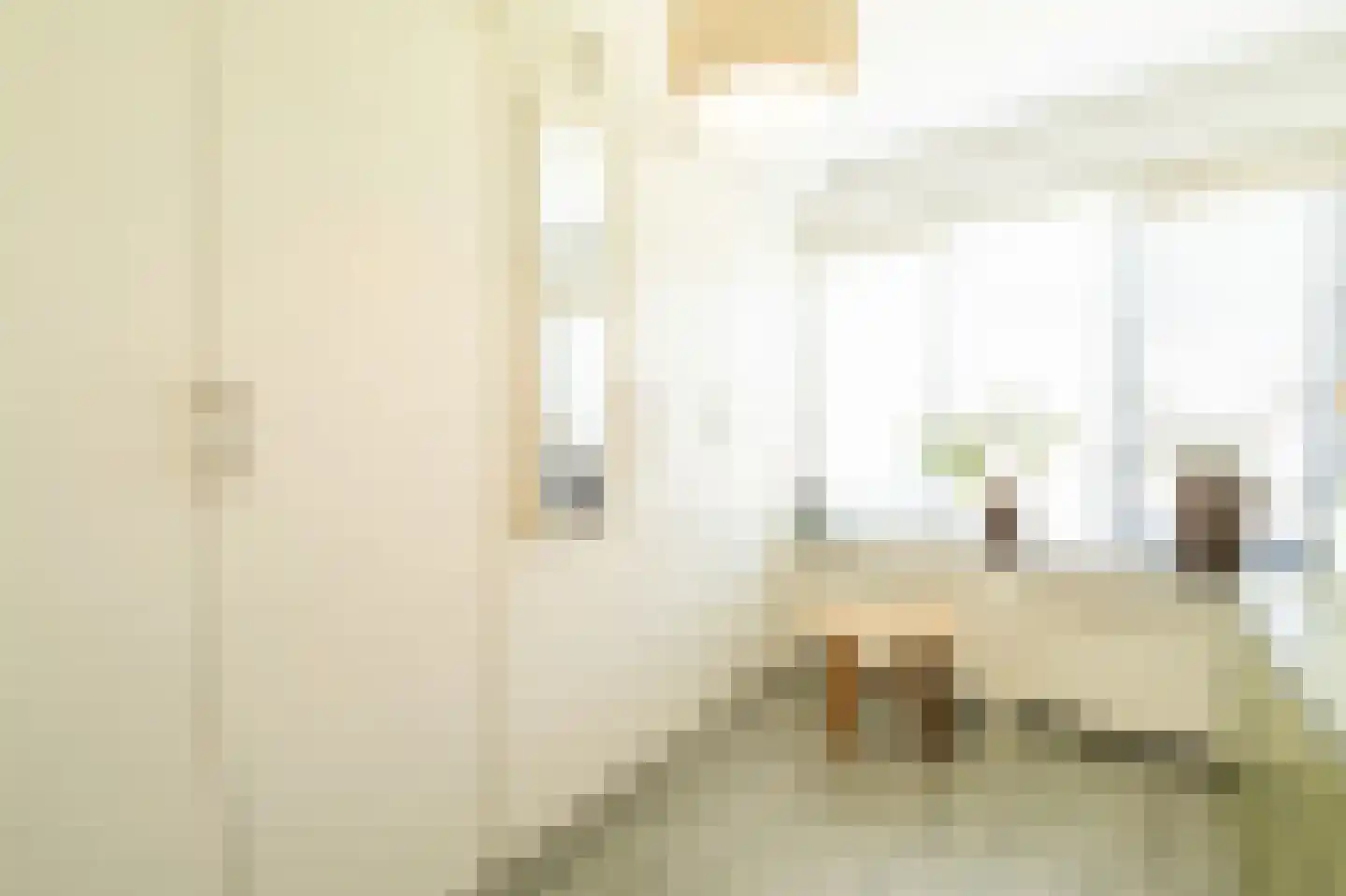 Tapijtschelp 15 Hellevoetsluis thumbnail 38