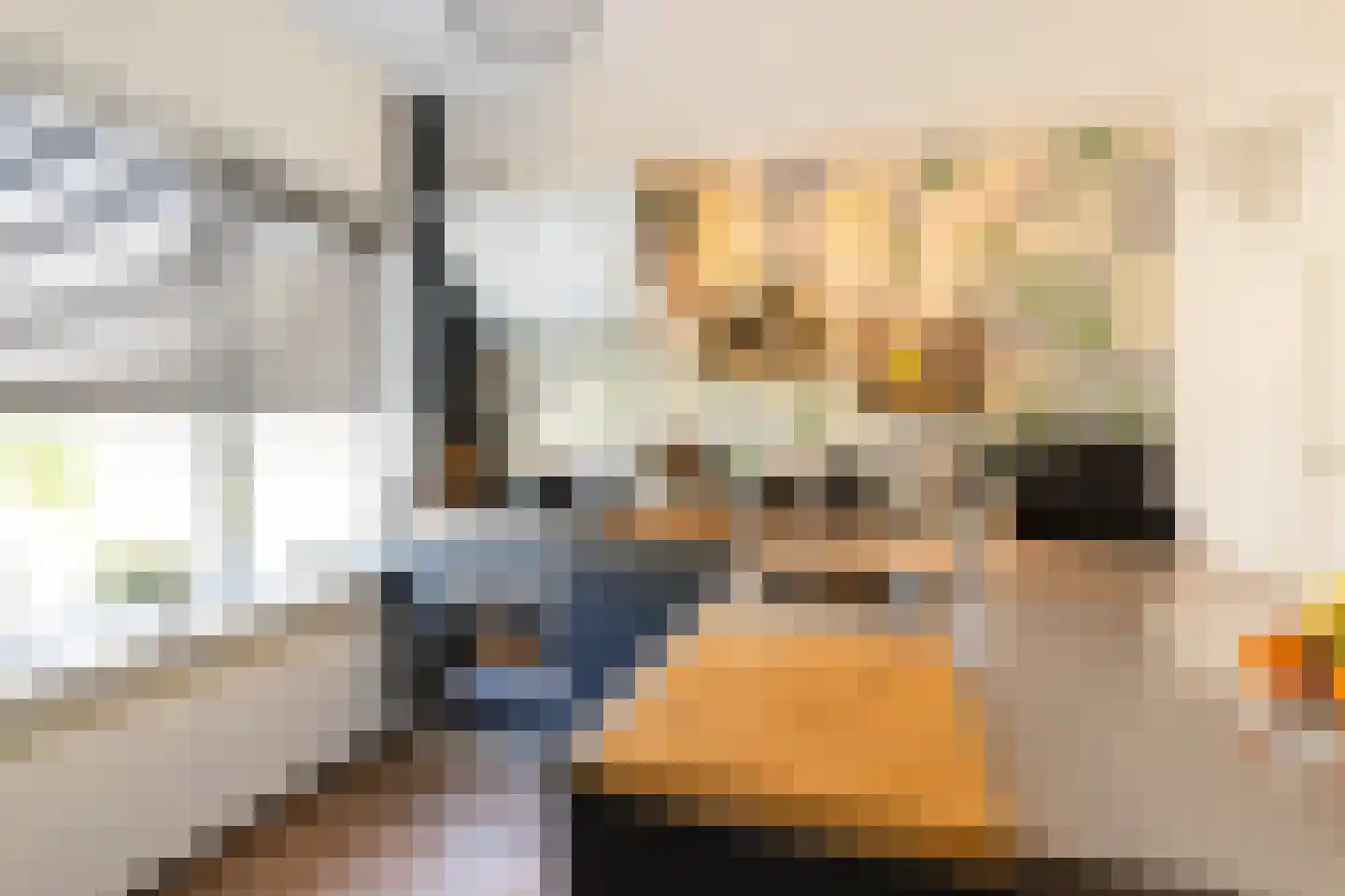 Tapijtschelp 15 Hellevoetsluis thumbnail 4