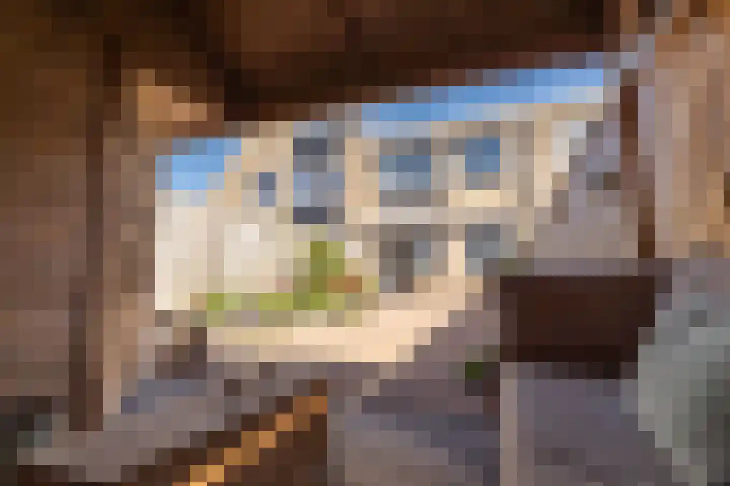 Tapijtschelp 15 Hellevoetsluis thumbnail 44