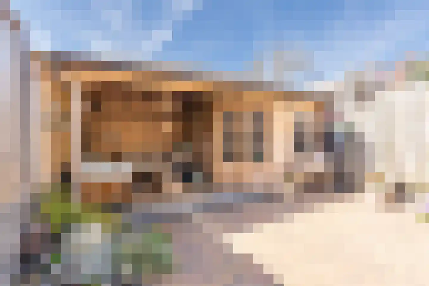 Tapijtschelp 15 Hellevoetsluis thumbnail 45