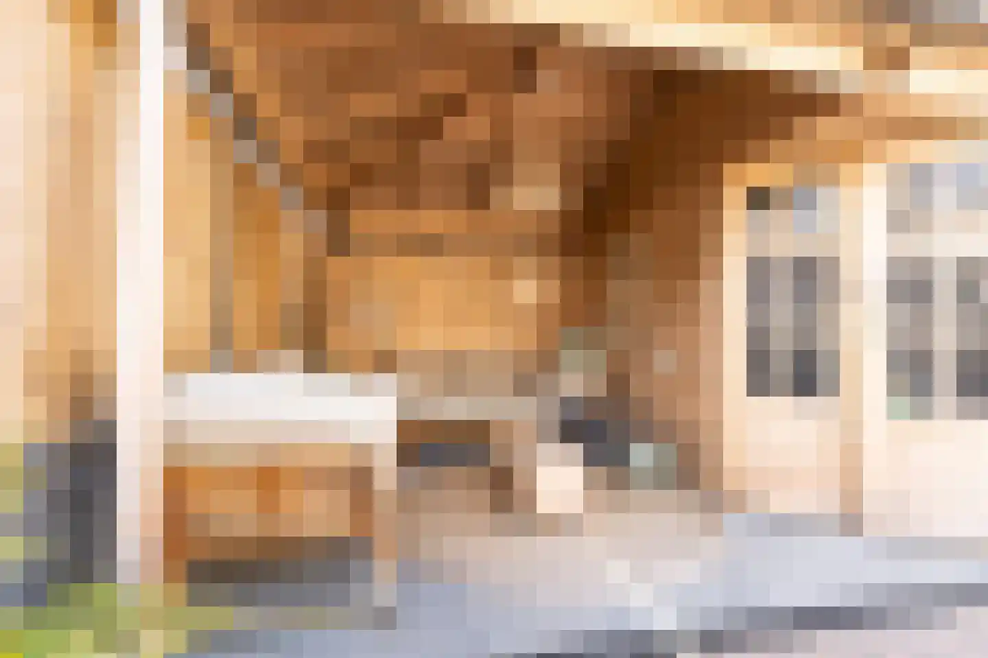Tapijtschelp 15 Hellevoetsluis thumbnail 46