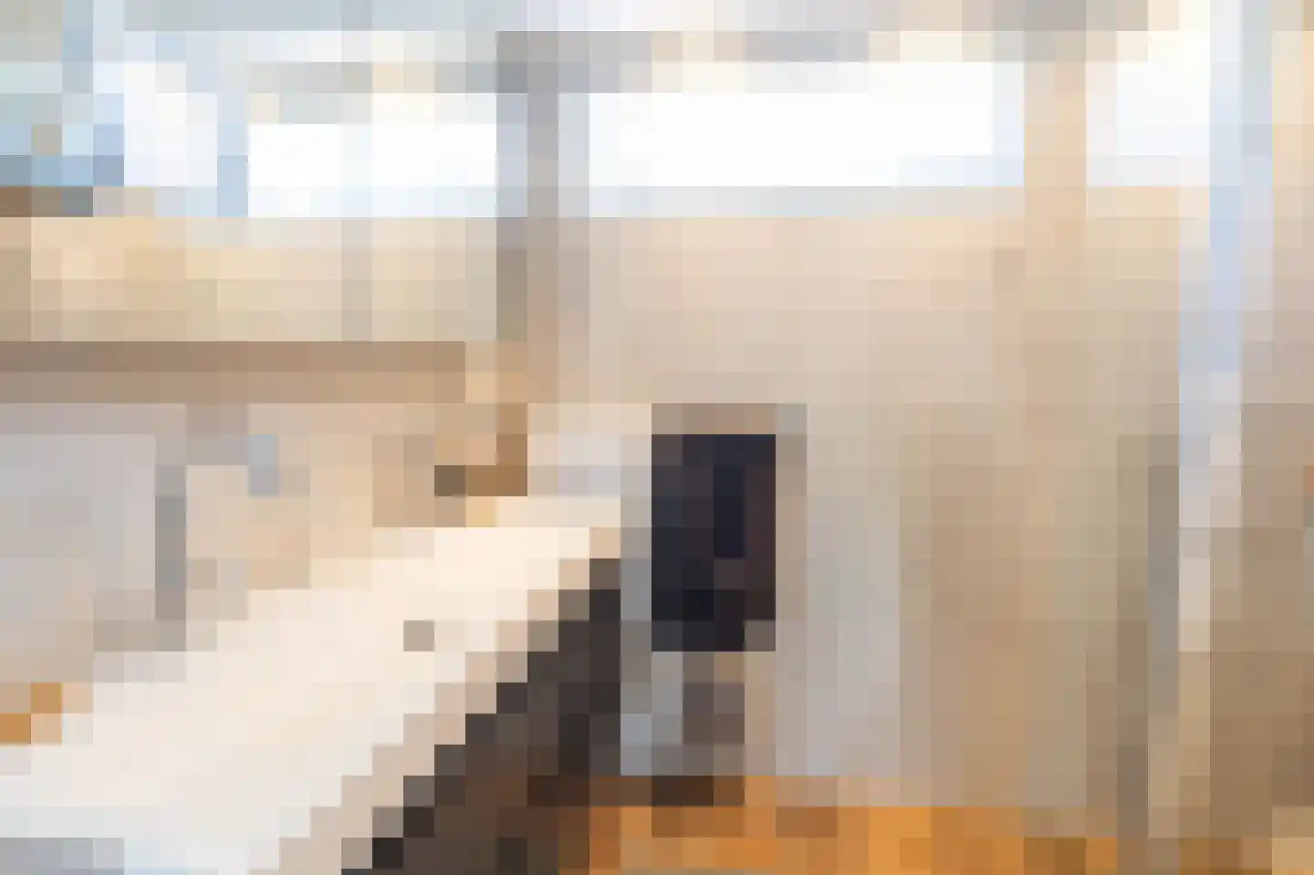 Tapijtschelp 15 Hellevoetsluis thumbnail 5