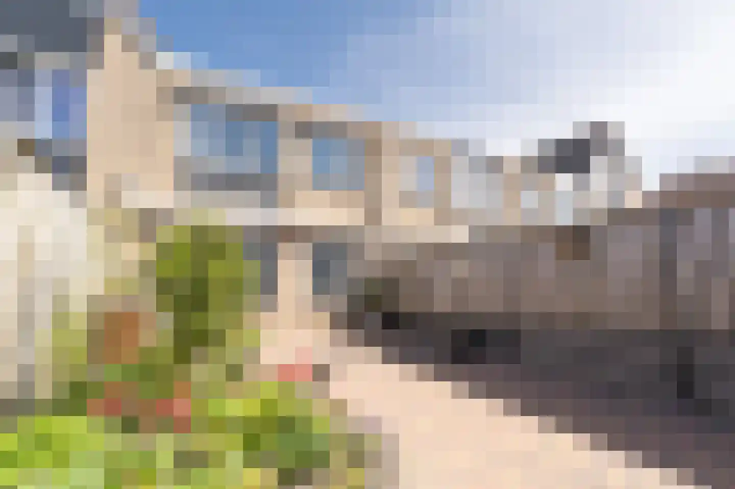 Tapijtschelp 15 Hellevoetsluis thumbnail 50