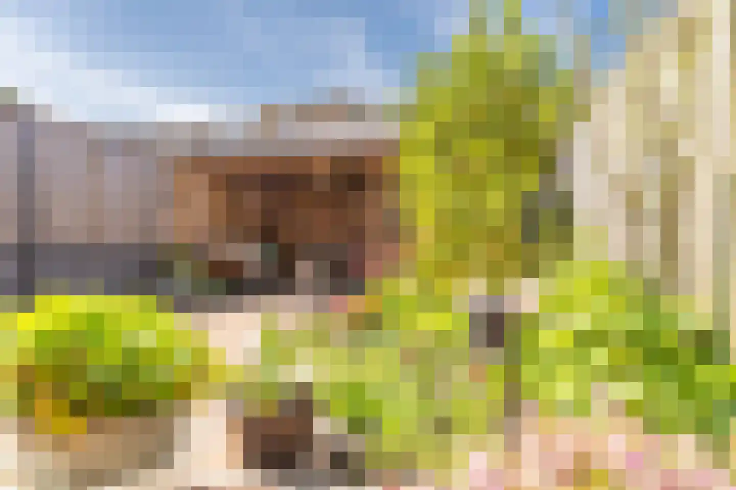 Tapijtschelp 15 Hellevoetsluis thumbnail 53