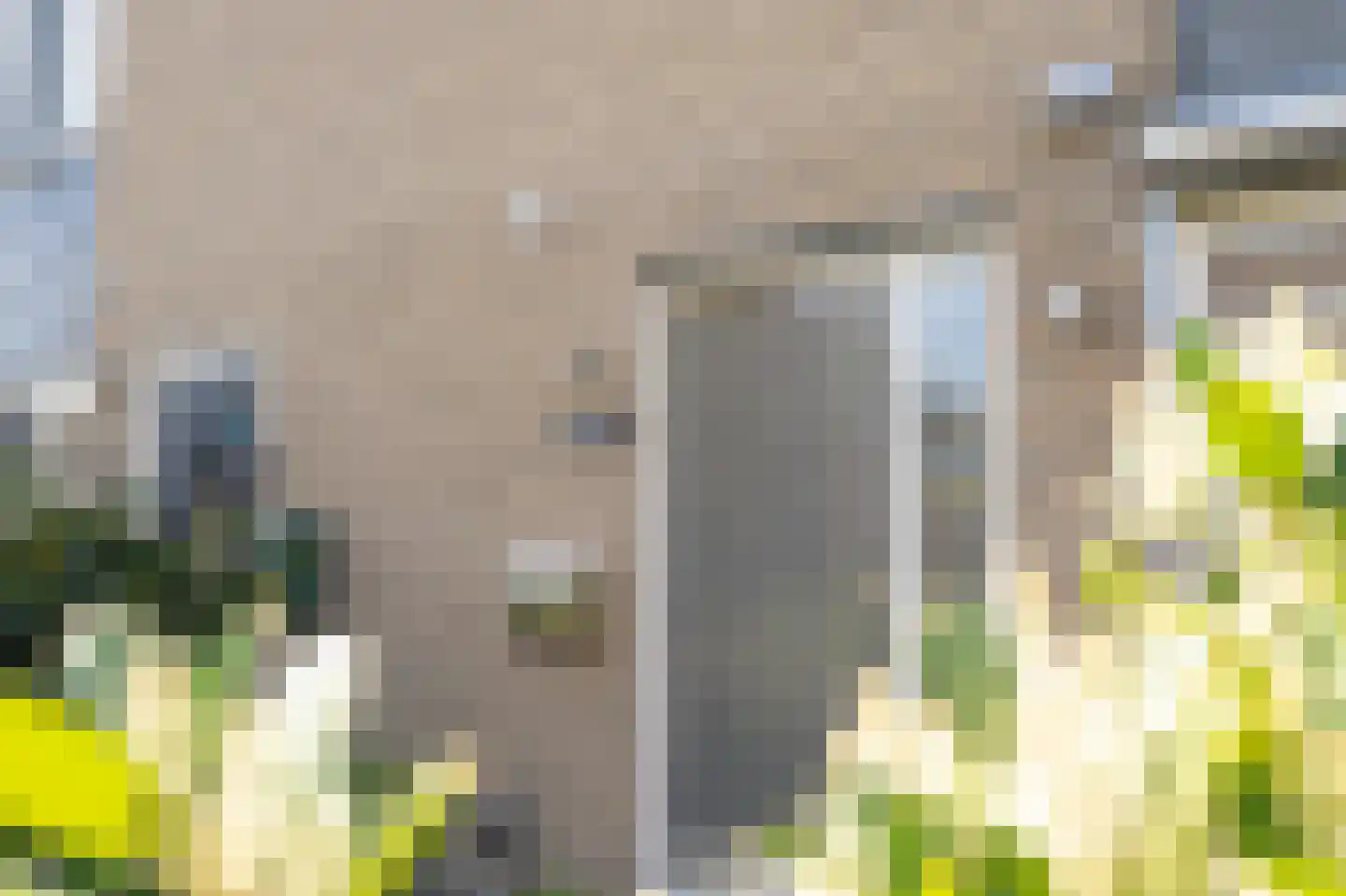 Tapijtschelp 15 Hellevoetsluis thumbnail 58