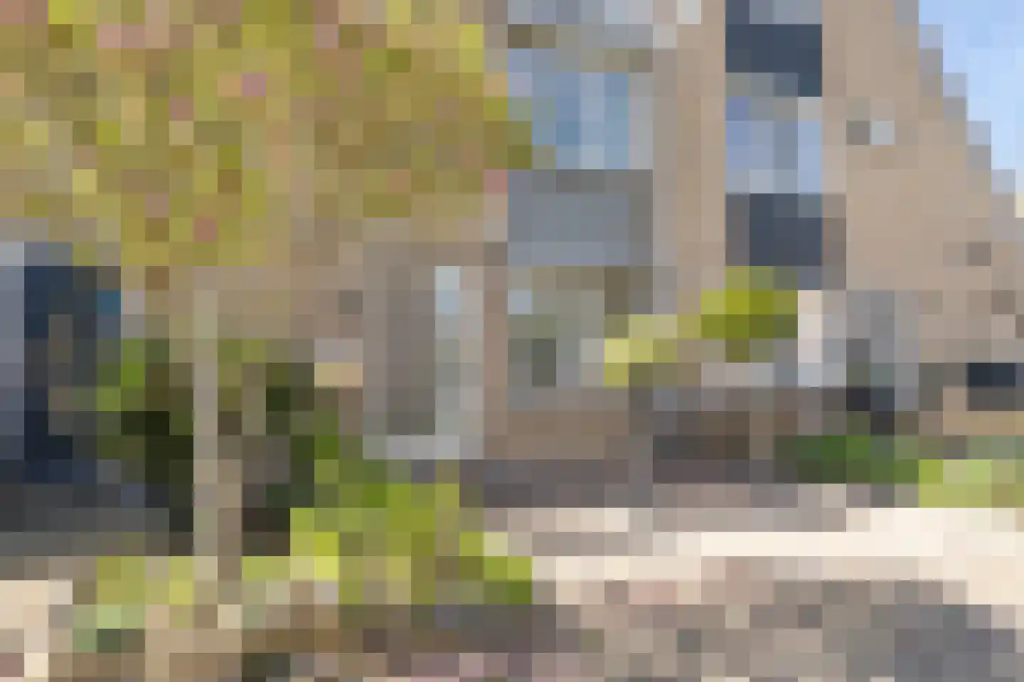 Tapijtschelp 15 Hellevoetsluis thumbnail 59