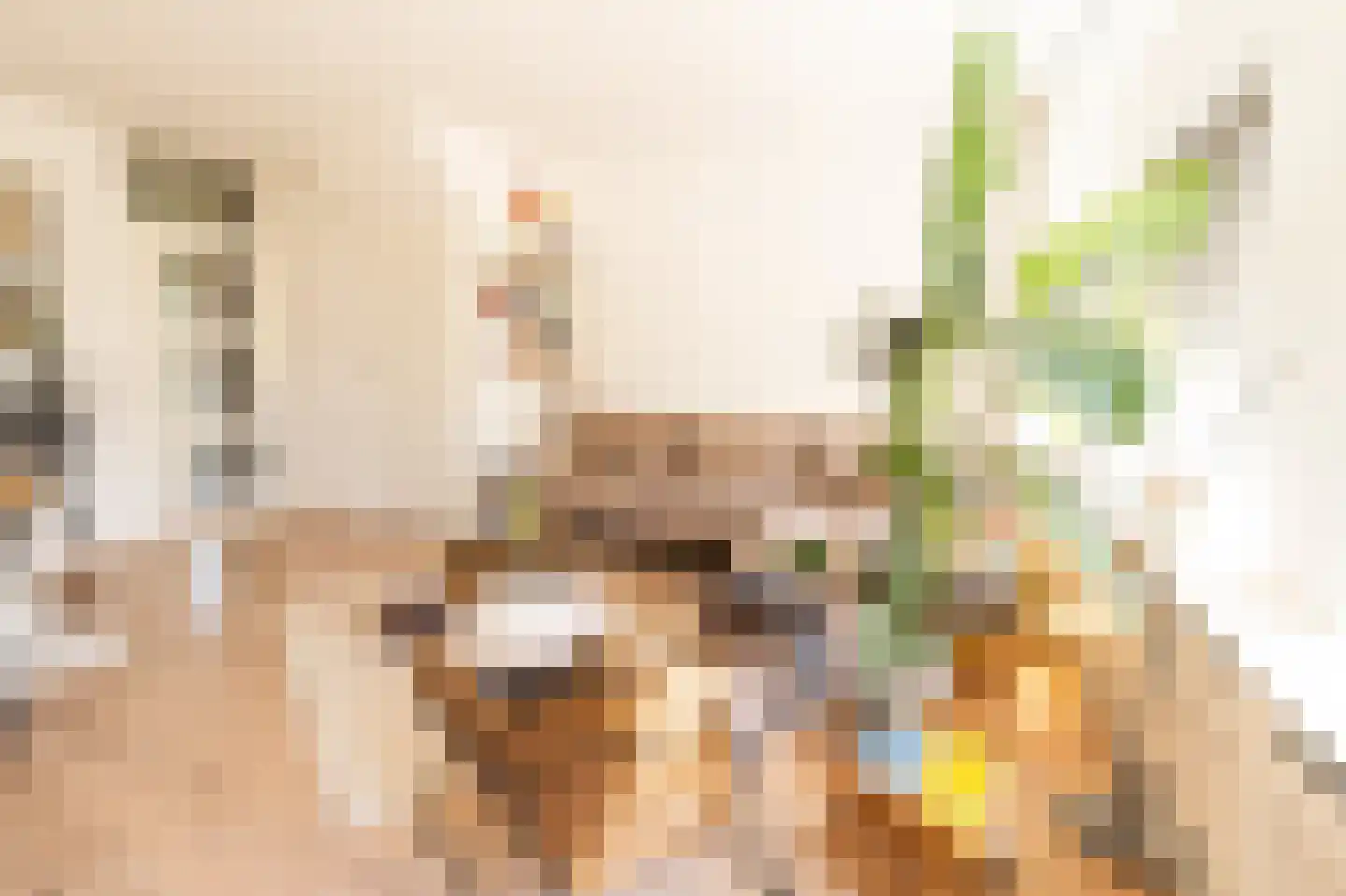 Tapijtschelp 15 Hellevoetsluis thumbnail 6