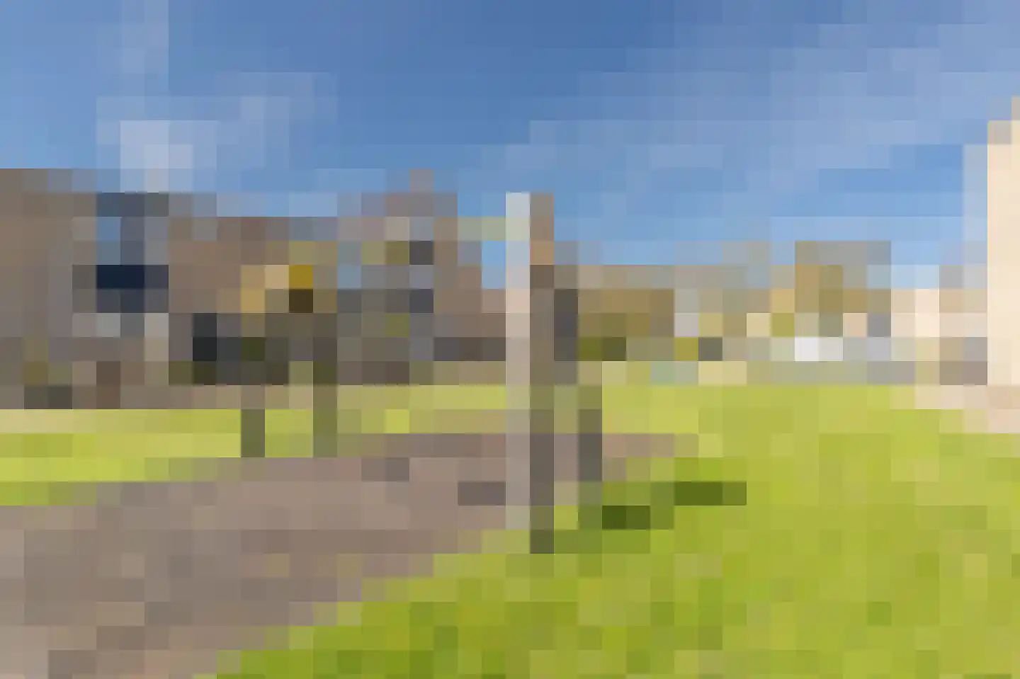 Tapijtschelp 15 Hellevoetsluis thumbnail 61