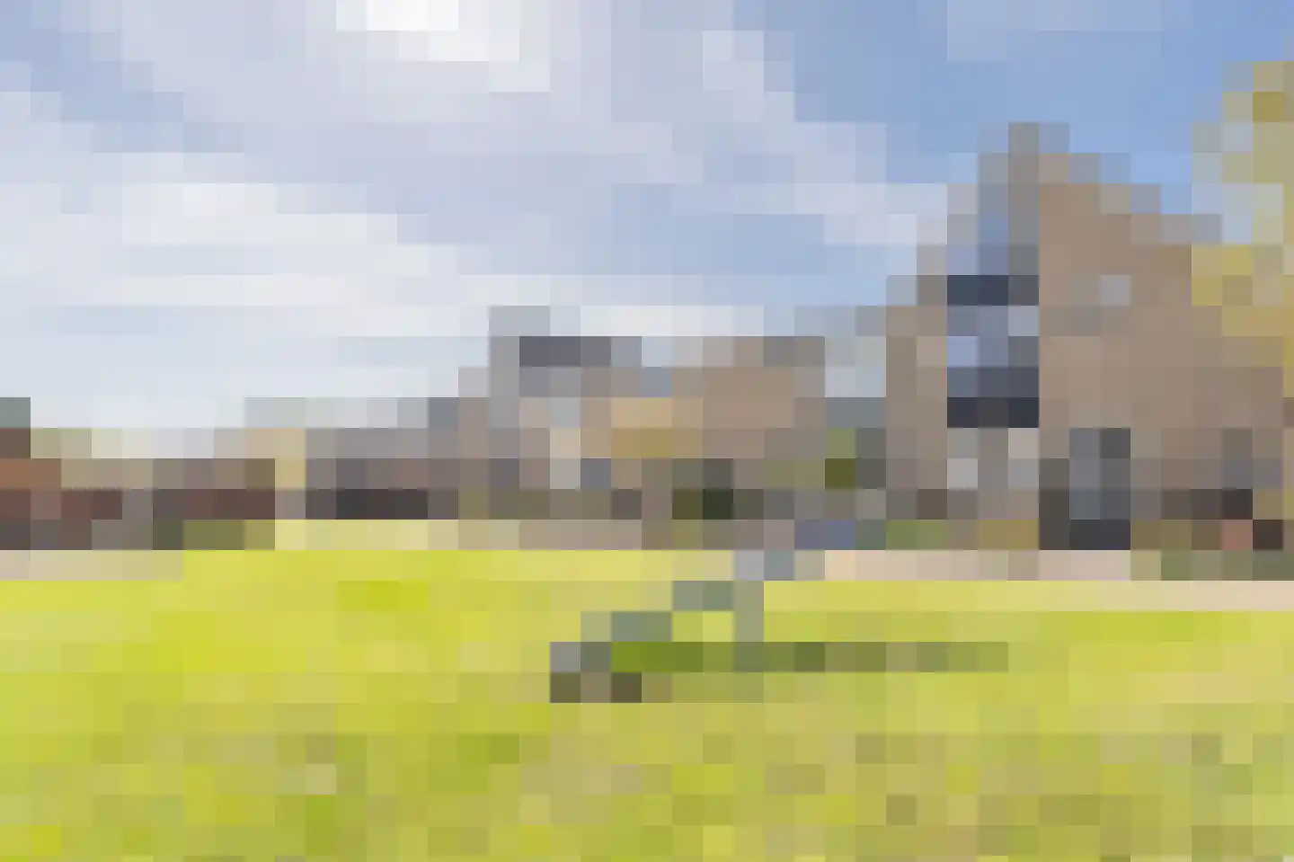 Tapijtschelp 15 Hellevoetsluis thumbnail 62