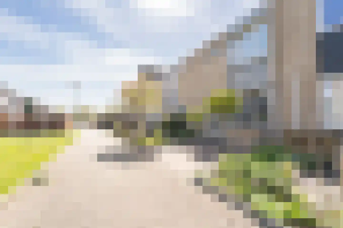 Tapijtschelp 15 Hellevoetsluis thumbnail 63