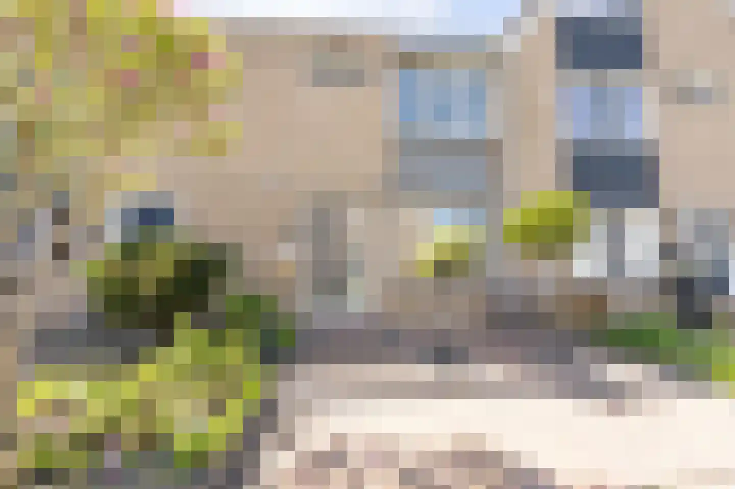 Tapijtschelp 15 Hellevoetsluis thumbnail 65