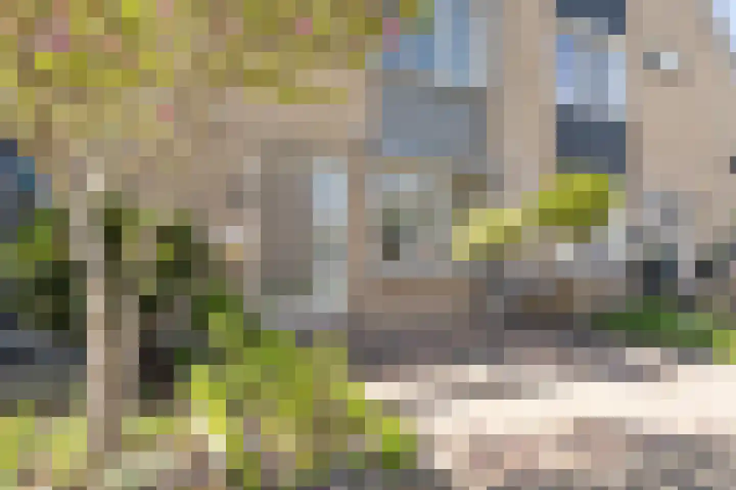 Tapijtschelp 15 Hellevoetsluis thumbnail 66