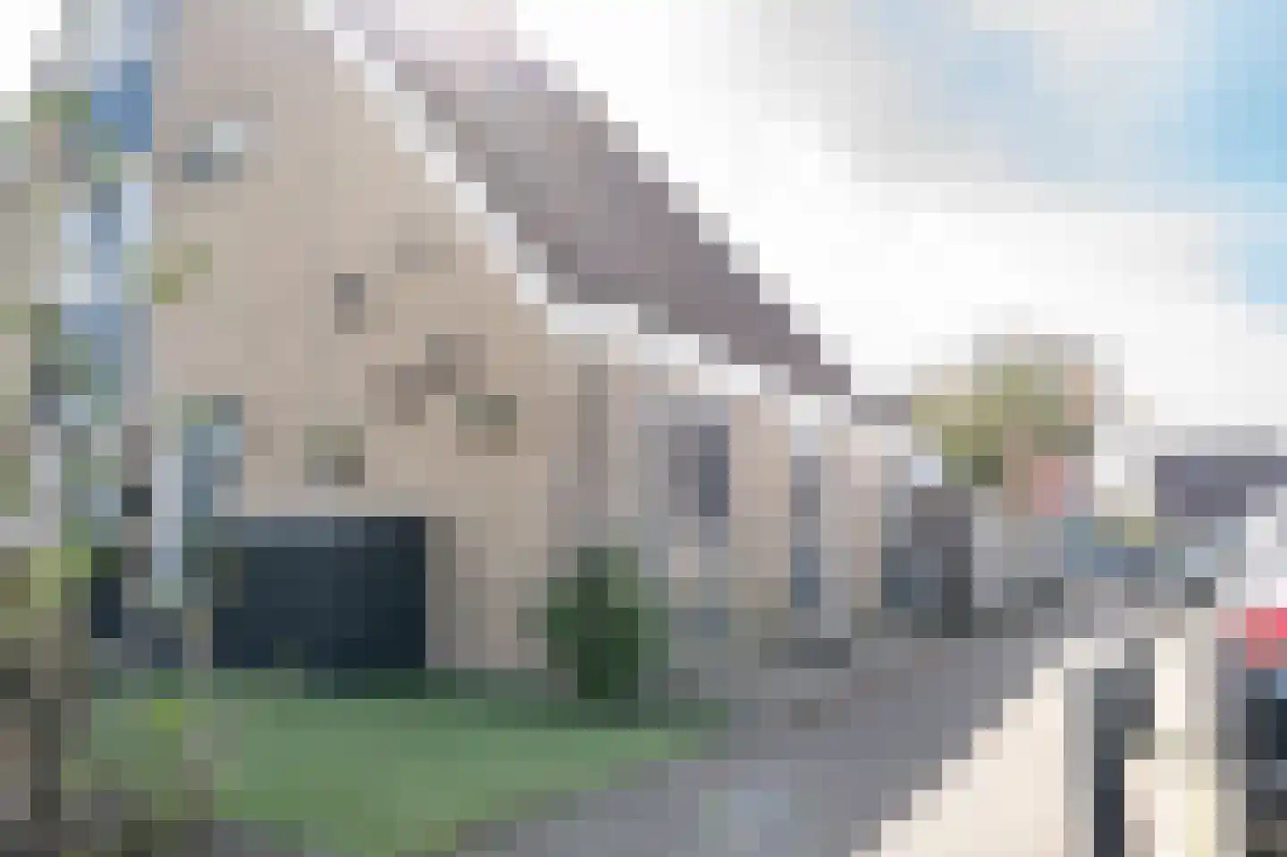 Tapijtschelp 15 Hellevoetsluis thumbnail 68
