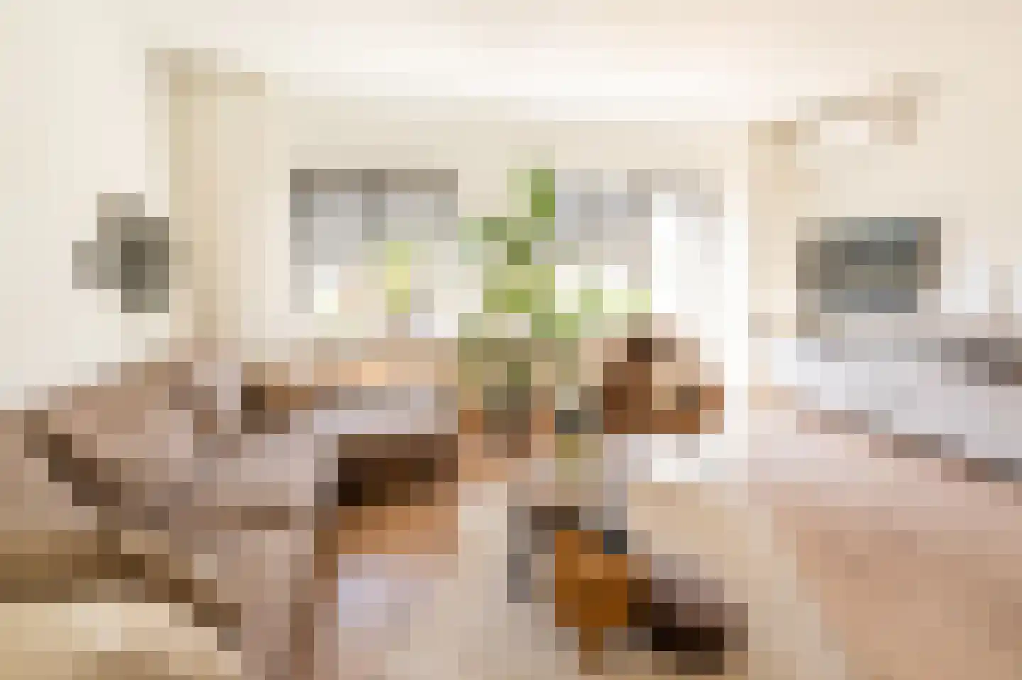 Tapijtschelp 15 Hellevoetsluis thumbnail 7