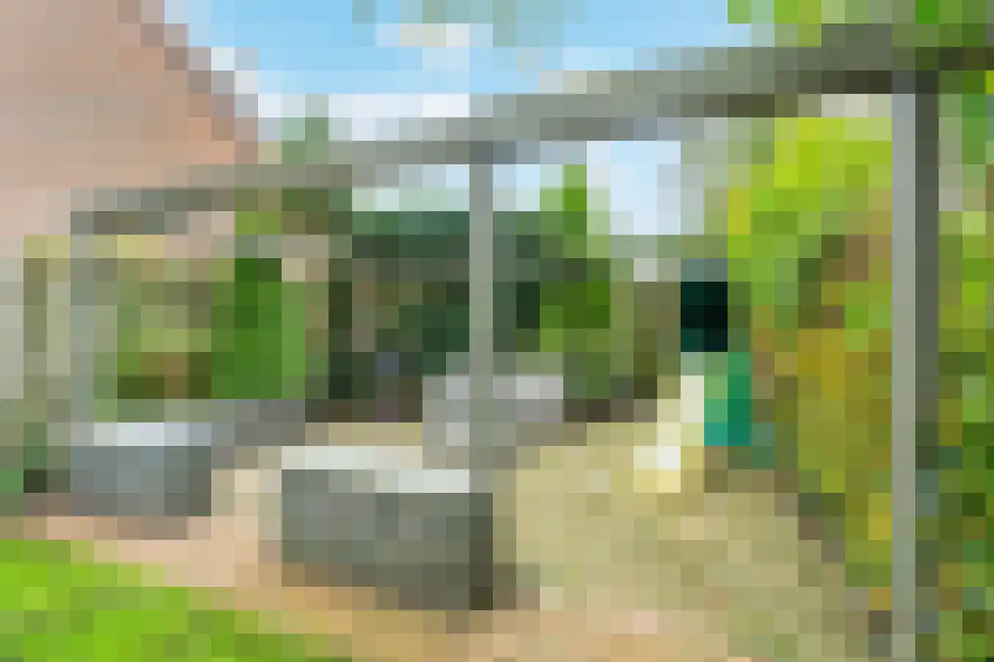 Tapijtschelp 152 Diemen thumbnail 11