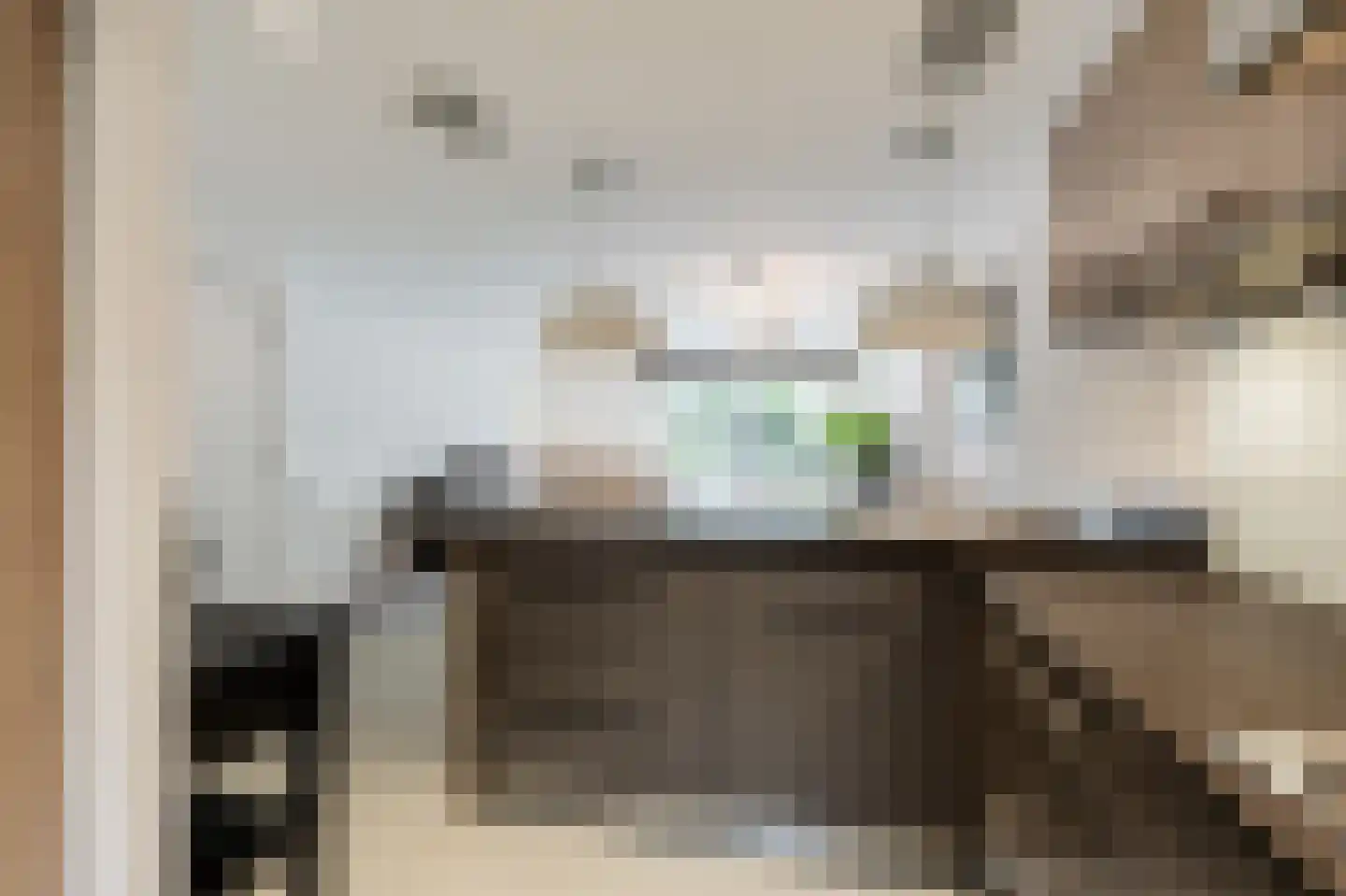 Tapijtschelp 152 Diemen thumbnail 19